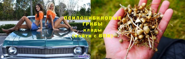 a pvp Армянск