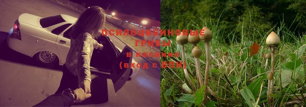экстази Аркадак